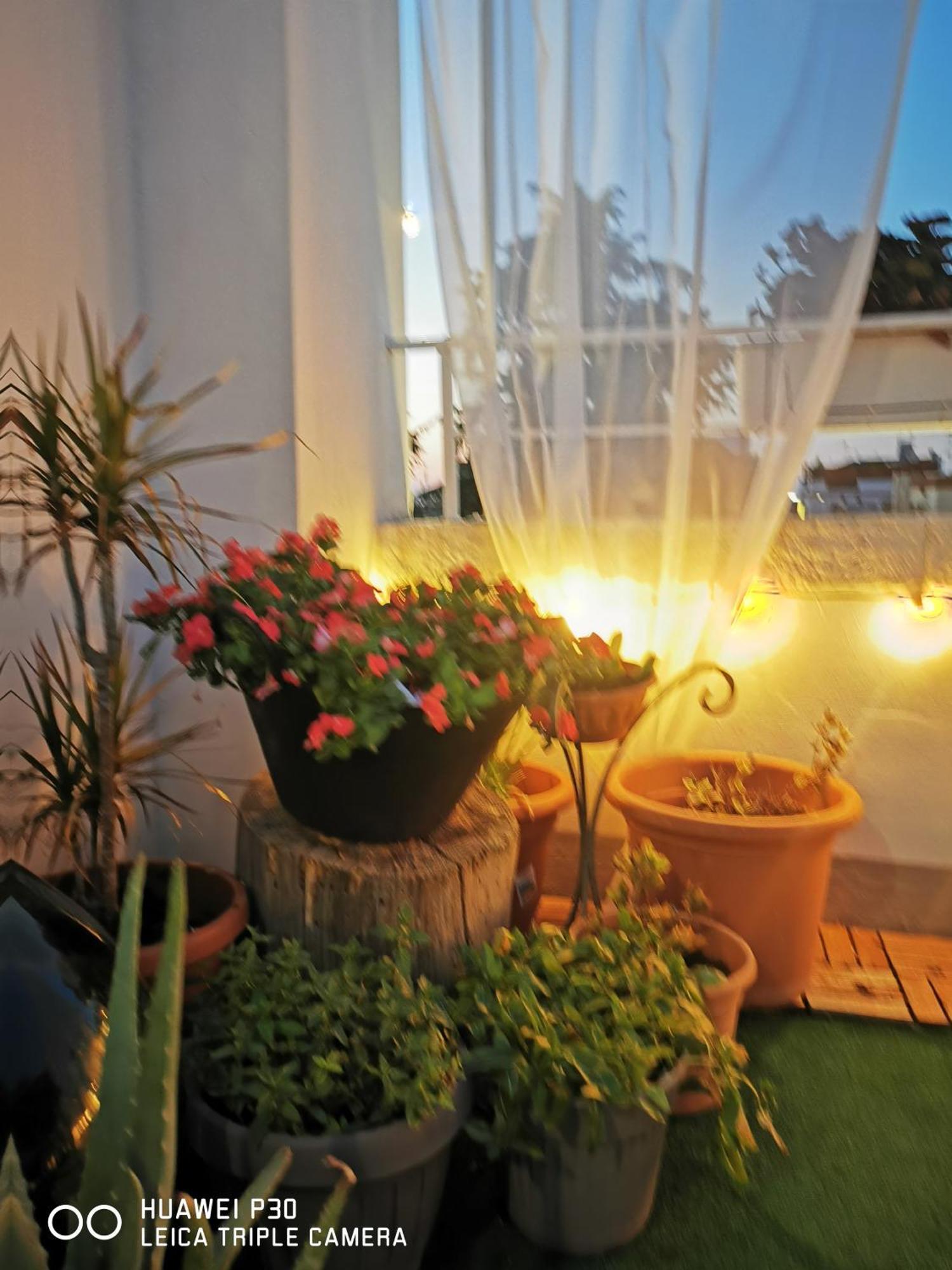 Sfumature Di Puglia Apartment Turi Luaran gambar